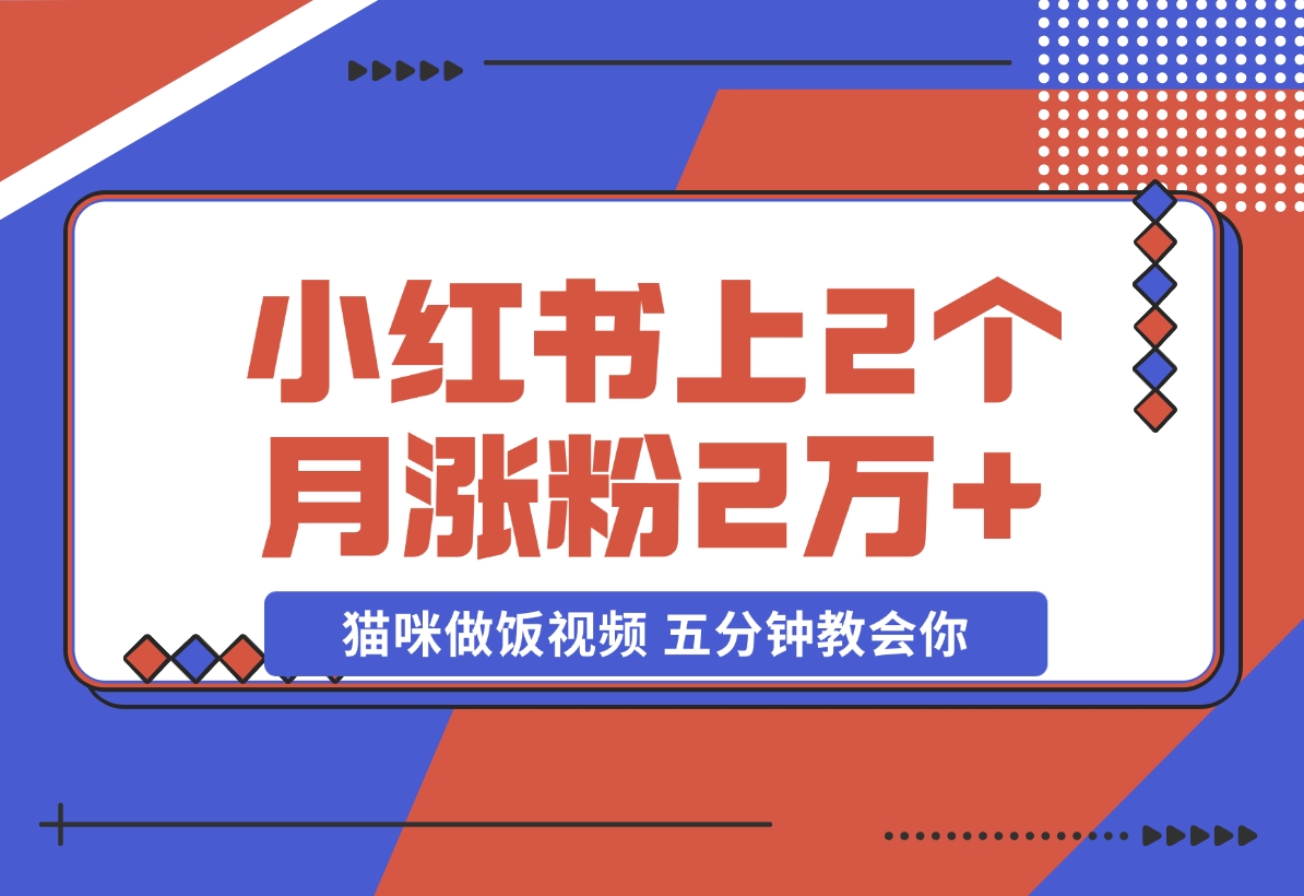 【2024.11.21】小红书上2个月涨粉2万+ 的猫咪做饭视频 五分钟教会你-岩肖