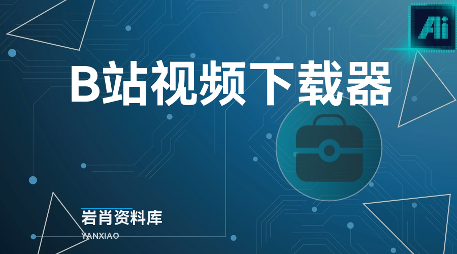 B站视频下载器-岩肖