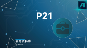 P21-岩肖
