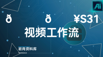 🍊 🔥S31视频工作流-岩肖